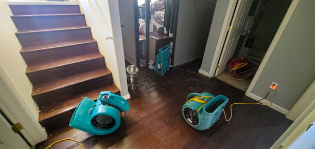 Water damage restoration experts in Durant, MS