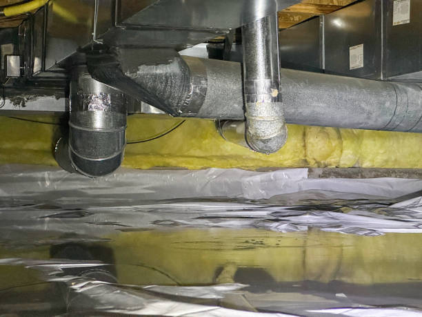 Best Professional water damage repair  in Durant, MS